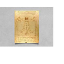 da vinci vitruve luc viatour (vitruvian man) poster
