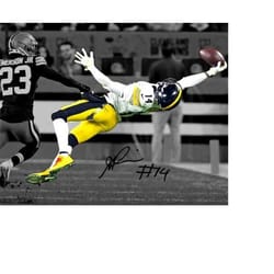 george pickens epic catch signed photo autograph print