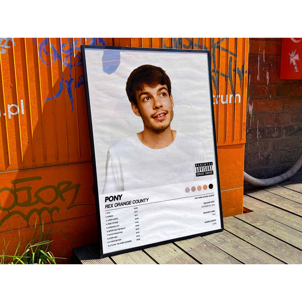 Rex Orange County Pony Album Cover Poster #6.jpg