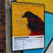 Death Cab For Cutie Transatlanticism Album Cover Poster #6.jpg