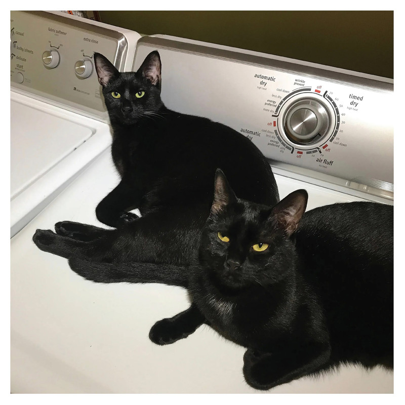 John McEntire And Sam Prekop (Sons Of) Album Cover POSTER.jpg