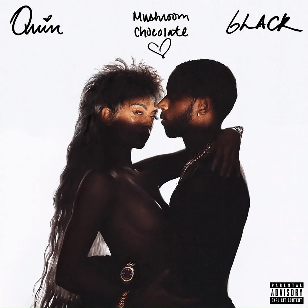 QUIN X6lack Mushroom Chocolate - Album Cover POSTER.jpg