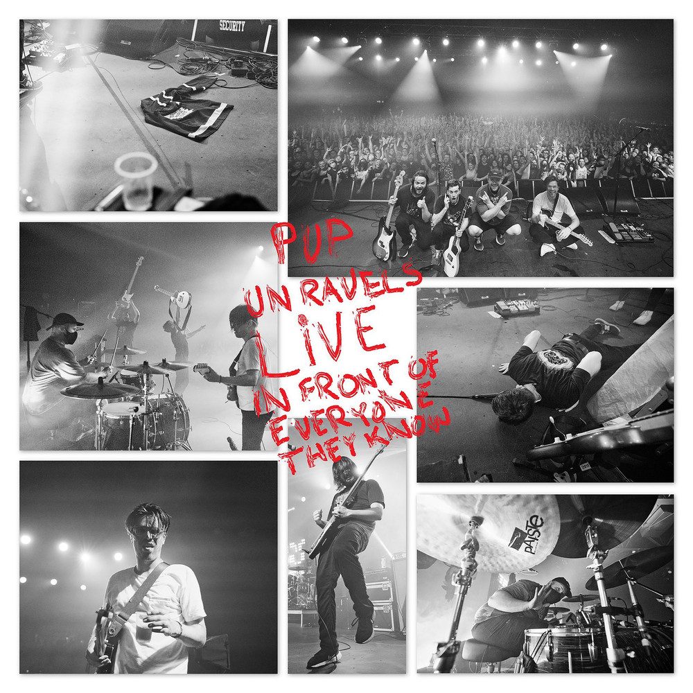 Pup (Pup Unravels Live In Front Of Everyone They Know) Album Cover POSTER.jpg