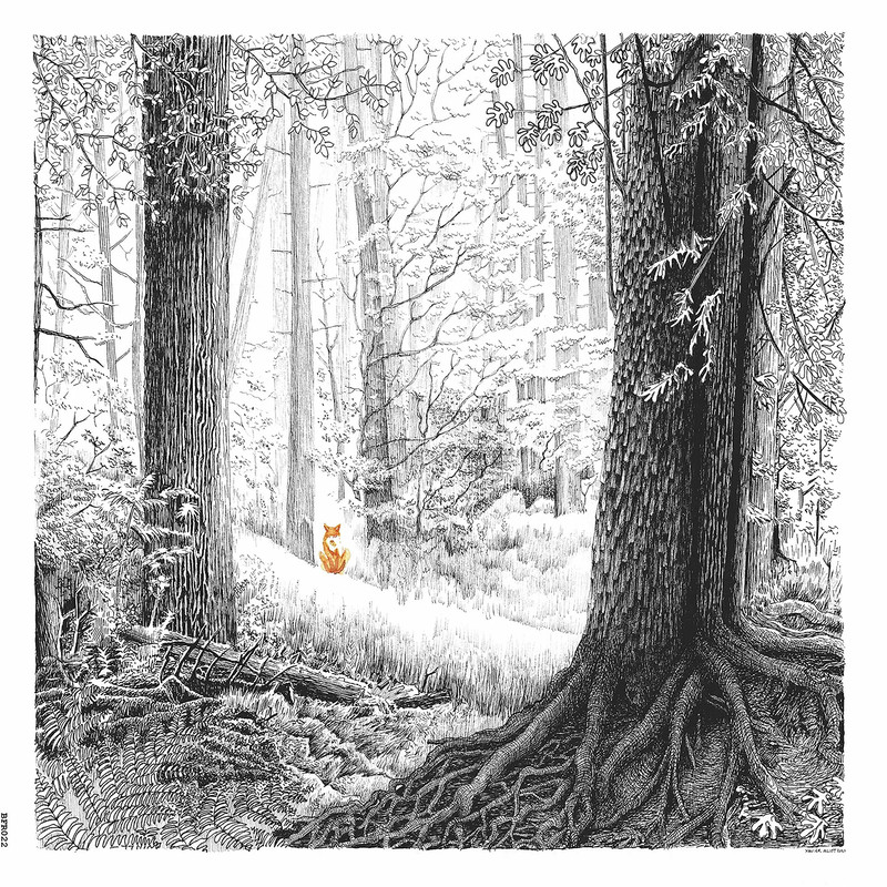 Doctor Doom (A Shadow Called Danger) Album Cover POSTER.jpg