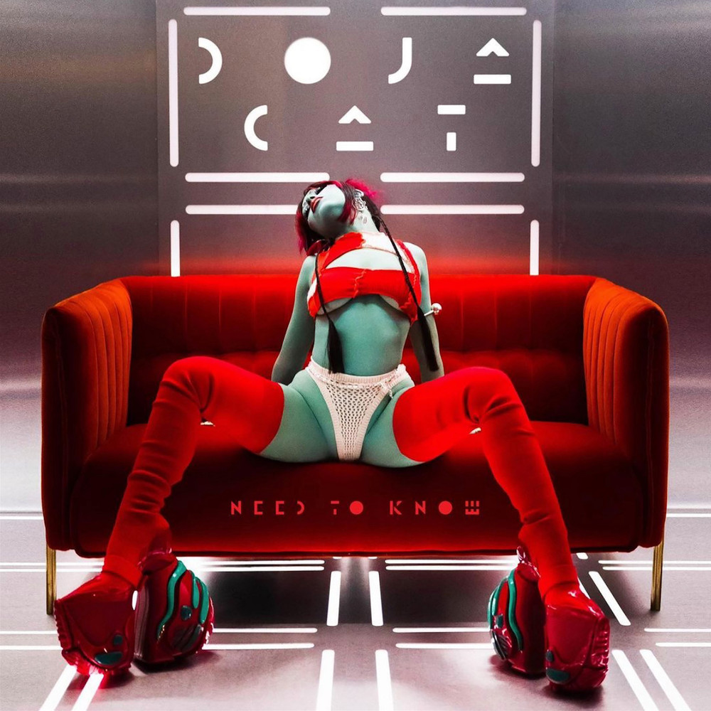 Doja Cat (Need To Know) Album Cover POSTER.jpg