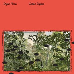 dylan moon - option explore - album cover poster