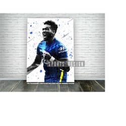 reece james poster, canvas print, kids gift, soccer