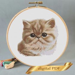Horthair cat pattern pdf cross stitch, pets easy embroidery DIY, art 17