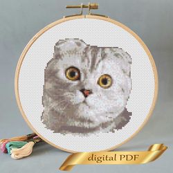 Scottish Fold cat pattern pdf cross stitch, pets easy embroidery DIY, art 3