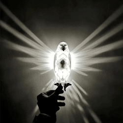 Modern Creative Bird Wall Lamp Owl Eagle Shape Projector Atmosphere Sconce Light 3D Print Body Animal Lighting Lustre Ho