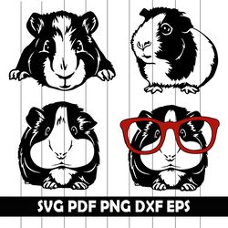 guinea pig svg, guinea pig clipart, guinea pig vector, guinea pig png, guinea pig eps, guinea pig dxf, guinea pig