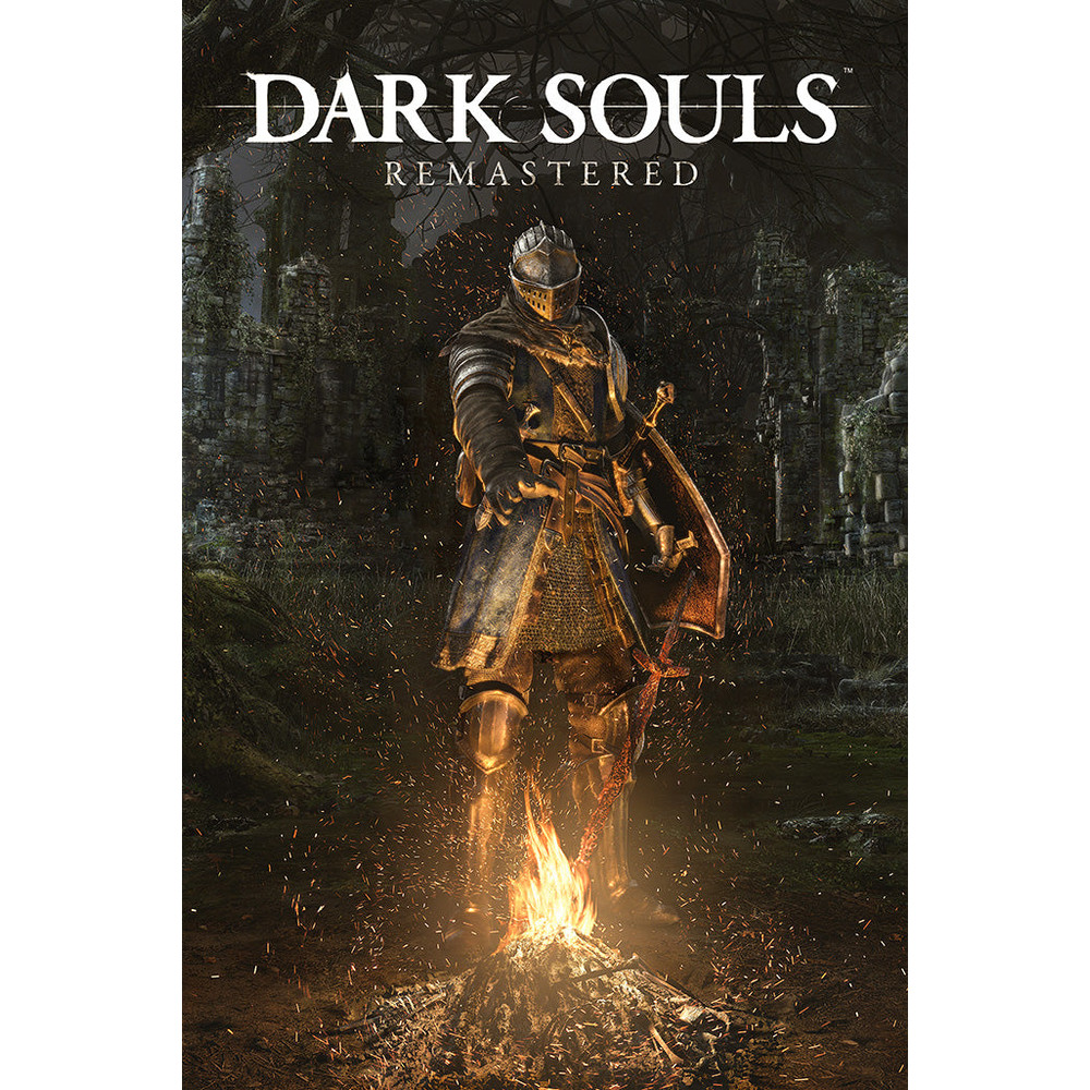 Dark Souls Remastered Game Poster 1.jpg