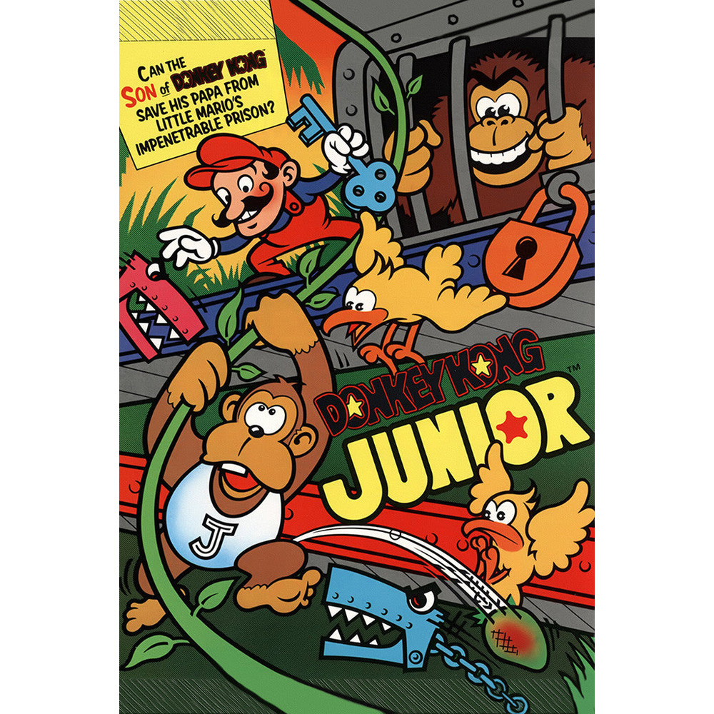 Donkey Kong Jr. Old Classic Retro Game Poster 1.jpg