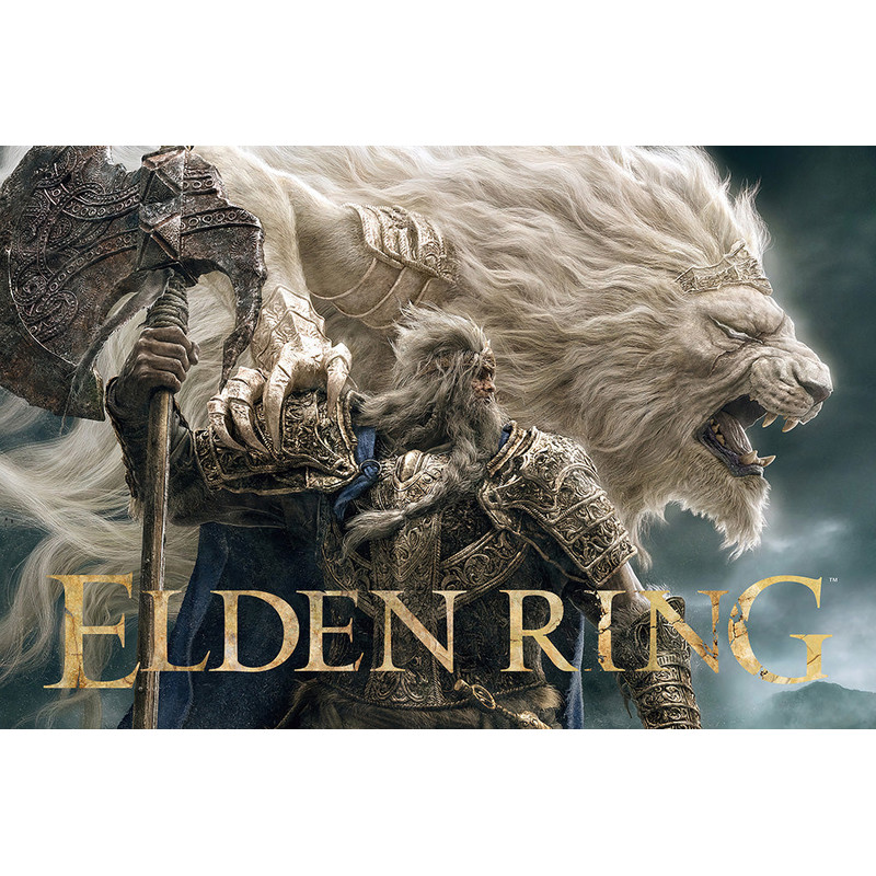 Elden Ring Video Game Poster.jpg