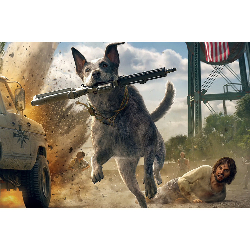 Far Cry 5 (710) Game Poster.jpg