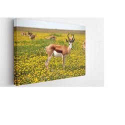 sweet deer, canvas wall art print | poster