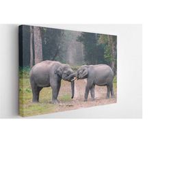 forest elephant, canvas wall art print | poster