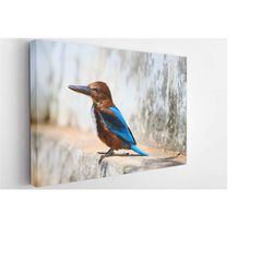 sweet bird, canvas wall art print | poster