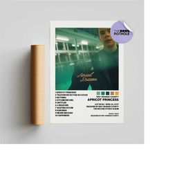 rex orange county posters / apricot princess poster,