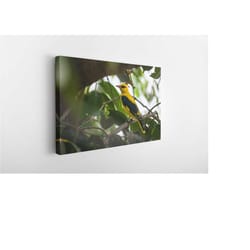 yellow bird, canvas wall art print | poster print decor for home & office decoration i poster or ready to hang