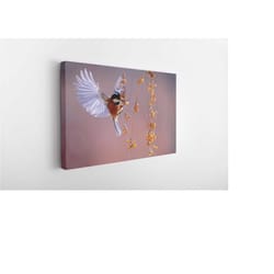 amazing bird, canvas wall art print | poster print decor for home & office decoration i poster or ready to hang