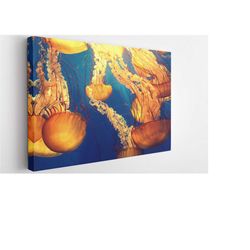 jellyfish, bathroom decor canvas wall art print | poster print decor for home & office decoration i poster or ready to h