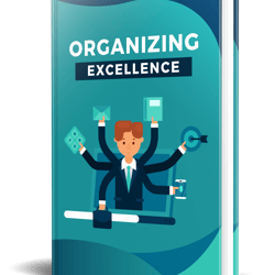 organizing excellence book