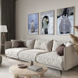 penguin set of 3 posters, baby animals, poster print, wall decor, art prints, wildlife art, animal prints, nature-inspir