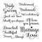 MR-imyourjoy-tb130522034-2312202312531.jpeg