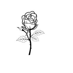 long stem rose download vector cut file, bmp, png, jpg cricut, valentines day, rose flower, simple rose svg, rose clip a