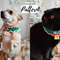 crochet pet collar pattern.jpg