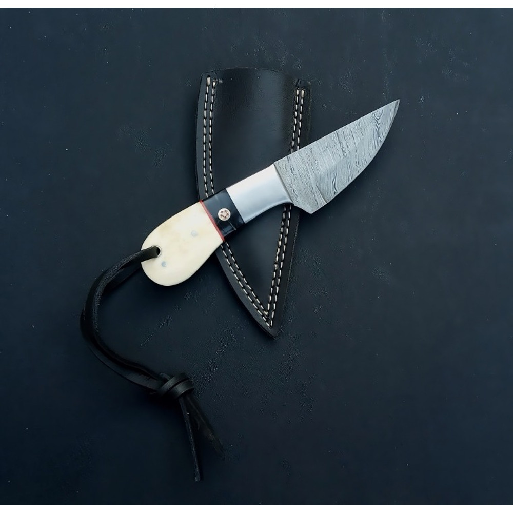 WhatsApp Image 2024-02-24 at 9.09.53 AM (1).jpeg