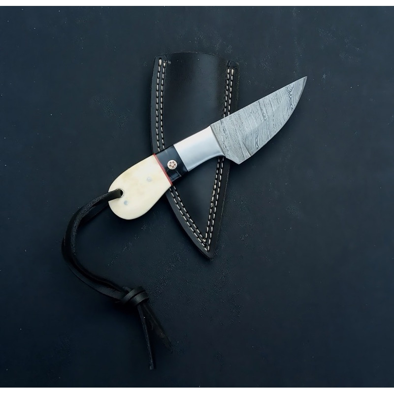 WhatsApp Image 2024-02-24 at 9.09.53 AM (1).jpeg