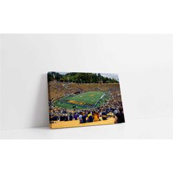 california golden bears wall art | california memorial