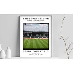 pride park stadium canvas poster | pride park