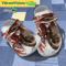 Love Yorkshire Terrier Puppy Paws Crocs Shoes 0