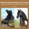 Premium Horse Tether Buckles Set Durable Equestrian Safety Rope Clips 4