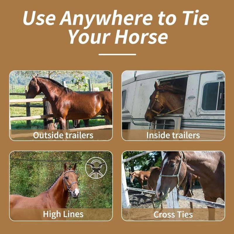 Premium Horse Tether Buckles Set Durable Equestrian Safety Rope Clips 6