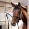 Premium Horse Tether Buckles Set Durable Equestrian Safety Rope Clips 1