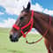 Premium Hand Braided Horse Lead Rope With Durable Woven Webbing Reins 1