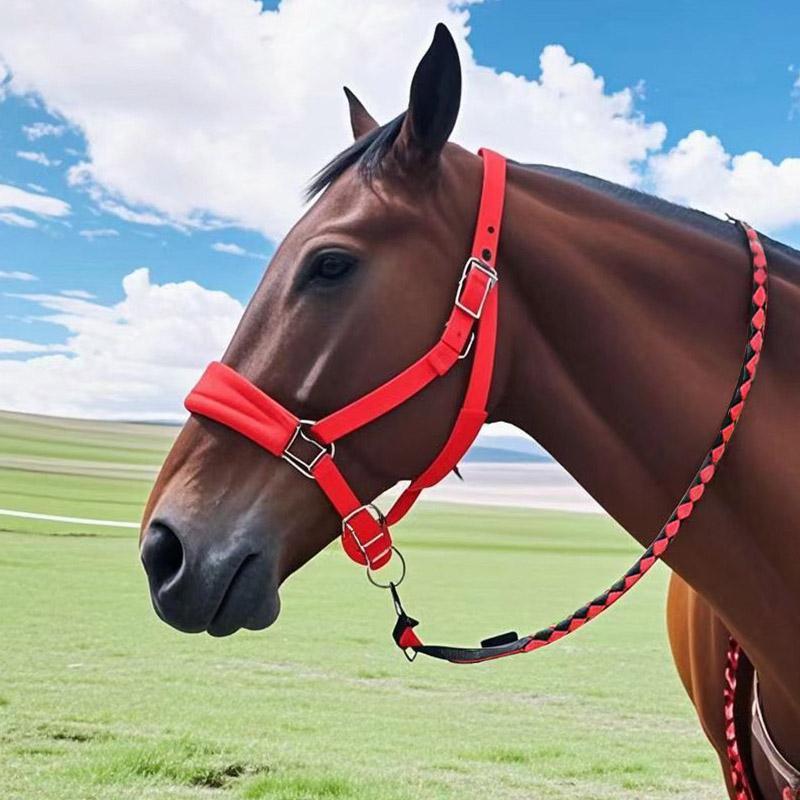 Premium Hand Braided Horse Lead Rope With Durable Woven Webbing Reins 1