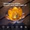 Solar Lotus Garden Light Waterproof LED Courtyard Lamp For Outdoor Patio Decor 1
