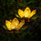 Solar Lotus Garden Light Waterproof LED Courtyard Lamp For Outdoor Patio Decor 4
