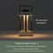 Rechargeable Camping Lantern Vintage Tent Light With Adjustable Ambient Glow 8