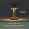 Rechargeable Camping Lantern Vintage Tent Light With Adjustable Ambient Glow 8