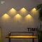 SolarGlow LED Garden Wall Lamp With Warm Color Changing Light 0