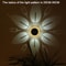 Solar Flower Pattern Wall Light For Garden Patio And Outdoor Landscape Decor 5