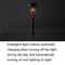 Solar Mosaic Garden Wall Lights IP65 Waterproof LED Pathway Decor 6