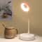 USB LED Reading Light With Flexible Gooseneck Eye Protection Desk Lamp 4