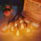 Vintage LED Bulbs E27 Warm White Edison Style Decorative Lights 2
